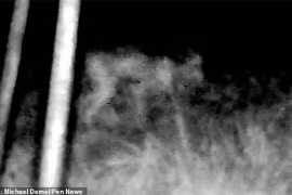 Sinh vật 4 chân bí ẩn nghi người ngoài hành tinh