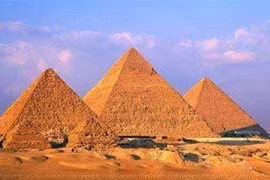 Phát hiện hoa trong kim tự tháp, 4.000 năm vẫn ngon lành