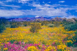 Giờ sinh của người có tài hùng biện, EQ cao, tài lộc sung túc 