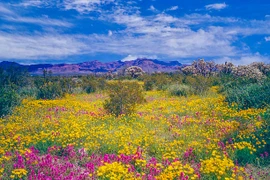 Giờ sinh của người có tài hùng biện, EQ cao, tài lộc sung túc 