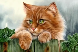 Trung vận phát tài, 4 tuổi tiền nhiều như nước, càng già càng giàu