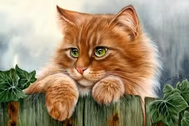 Trung vận phát tài, 4 tuổi tiền nhiều như nước, càng già càng giàu