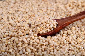 Sự thật thú vị về huyền thoại bo bo thời bao cấp