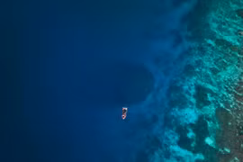 Room rạn san hô lớn nhất thế giới vừa được phát hiện