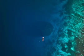 Room rạn san hô lớn nhất thế giới vừa được phát hiện