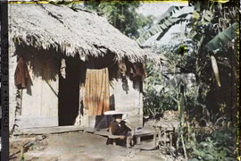 Ảnh màu cực hiếm về phụ nữ nông thôn Bắc Bộ năm 1921