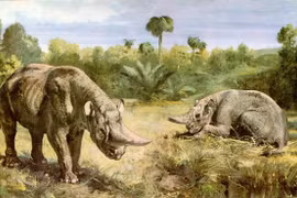 Những loài vật ấn tượng nhất kỷ nguyên hậu khủng long (1)