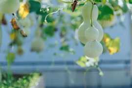 “Mở cửa có 2 thứ này, con cháu mãi phú quý”