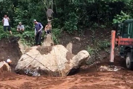 Ly kỳ đào được tảng đá hình con rùa: Có người trả 1 tỷ đồng