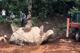 Ly kỳ đào được tảng đá hình con rùa: Có người trả 1 tỷ đồng