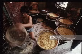 Mùa xuân Việt Nam thập niên 1990 qua ống kính người Mỹ