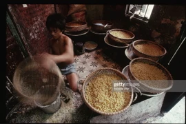 Mùa xuân Việt Nam thập niên 1990 qua ống kính người Mỹ