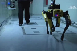 Video: Chó robot theo dõi nhiễm xạ ở Chernobyl 
