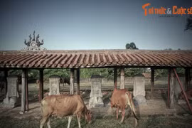 Tò mò diện mạo Văn miếu Huế trước khi được đại trùng tu 