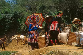 Loạt ảnh không thể rời mắt ở Lào Cai năm 1998