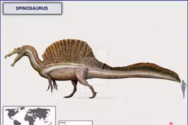 Sự thật thú vị về khủng long ăn thịt lớn nhất từng tồn tại