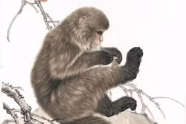 Từ 10/3, 3 con giáp vận đen bủa vây, hóa giải thế nào?