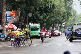 Thời tiết ngày 15/1: Không khí lạnh tăng cường, Bắc Bộ có mưa to và dông