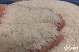 El Nino khiến các nước tăng cường mua gạo của Việt Nam
