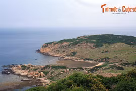 Khám phá cung đường bờ biển “đẹp nhất Việt Nam” ở Ninh Thuận 