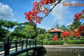 Lặng ngắm phong cảnh tuyệt vời của mảnh đất Đồng Tháp