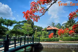 Lặng ngắm phong cảnh tuyệt vời của mảnh đất Đồng Tháp