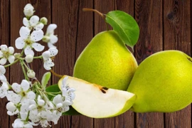 Cây lê cho hoa đẹp quả ngon nhưng cổ nhân kiêng trồng trước nhà