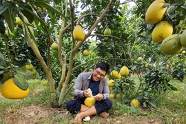 9X làm lại từ hai bàn tay trắng, mỗi năm doanh thu 4-5 tỷ