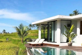 Xây nhà cấp bốn trước cánh đồng lúa, không gian xanh mát "mướt mắt"