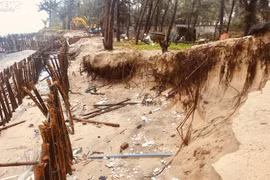 Sóng đánh sập dãy nhà dân, trơ gốc phi lao ven biển Hội An 