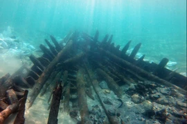 Tàu đắm 6 thế kỷ mang bộ xương lạ tiết lộ “bóng ma” thế kỷ 