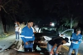 Hà mã của trùm ma túy khét tiếng Pablo Escobar bị ô tô tông chết