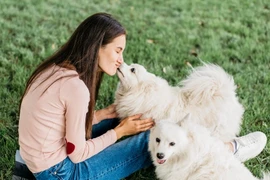 Vợ bỏ bê con cái, nuôi 4 con cún để 'chữa lành'