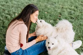 Vợ bỏ bê con cái, nuôi 4 con cún để 'chữa lành'