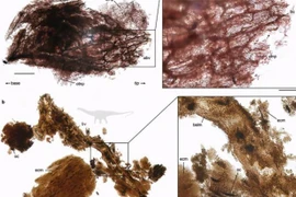 Con người có thể thực sự khiến khủng long sống lại?