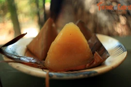 Vì sao địa đạo Củ Chi khiến du khách khắp thế giới muốn ghé thăm?