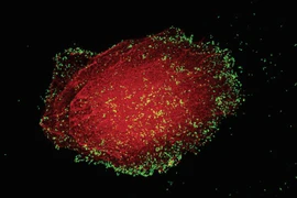 Giả thuyết gây sốc về nguồn gốc sự sống, nghe xong ai cũng giật mình