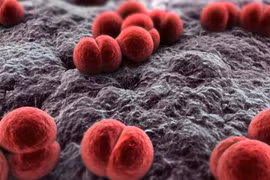 Vụ quân nhân tử vong do não mô cầu, 7 người đã bị cách ly