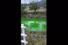 Kỳ lạ nước sông bất ngờ chuyển sang màu xanh lục