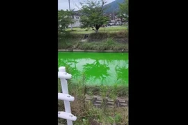 Kỳ lạ nước sông bất ngờ chuyển sang màu xanh lục