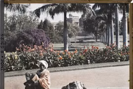 Mãn nhãn với loạt ảnh màu về thành phố Delhi năm 1914
