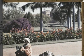 Mãn nhãn với loạt ảnh màu về thành phố Delhi năm 1914
