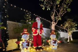 Sao Việt trang hoàng nhà lung linh, có người định trưng cây thông đến Tết