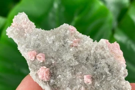 Nguyên tố hóa học siêu “hot”, thế giới săn lùng ráo riết