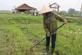 Nữ kỹ sư 9x "phù phép" mảnh đất hoang thành nông trại xanh