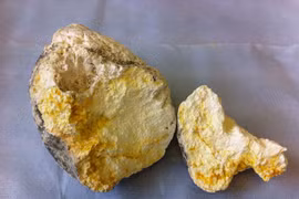 Long diên hương ăn với trứng rán cực ngon?