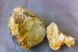 Long diên hương ăn với trứng rán cực ngon?