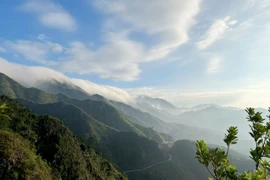 3 giờ chinh phục “sống lưng khủng long” Bình Liêu