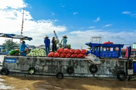 Mát mắt sông nước Cần Thơ qua ảnh của khách quốc tế