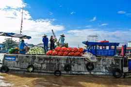 Mát mắt sông nước Cần Thơ qua ảnh của khách quốc tế